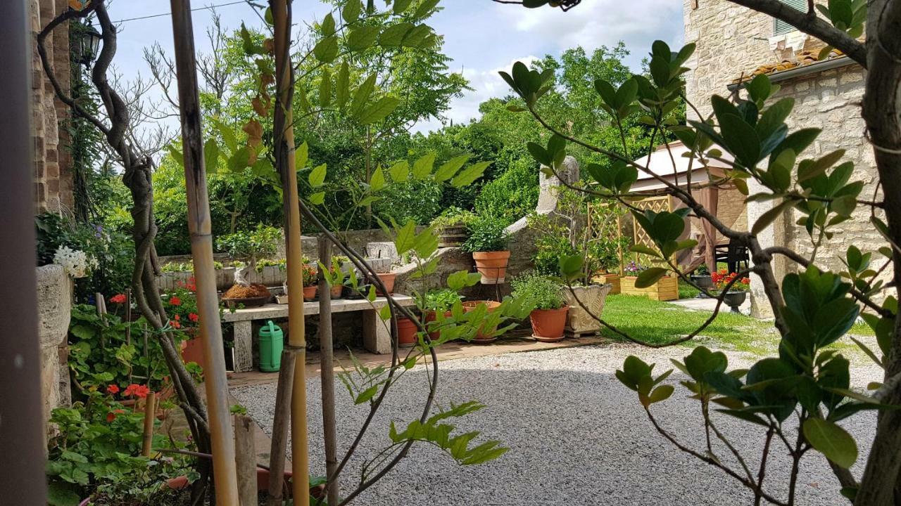 San Paterno B&B Rapolano Terme Exterior photo