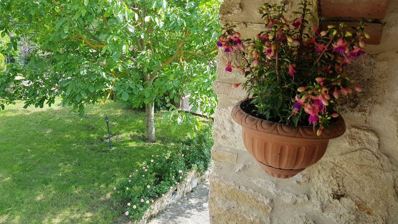 San Paterno B&B Rapolano Terme Exterior photo